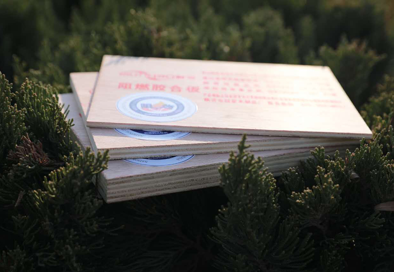 山東阻燃板廠(chǎng)家,難燃板