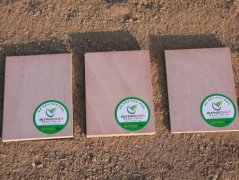 山東膠合板廠家